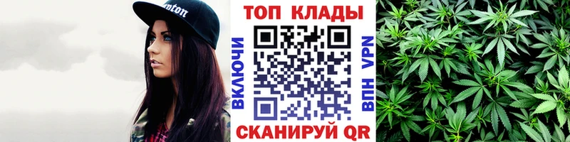 Как найти наркотики Каргополь МАРИХУАНА Альфа ПВП блэк спрут Меф мяу мяу АМФ