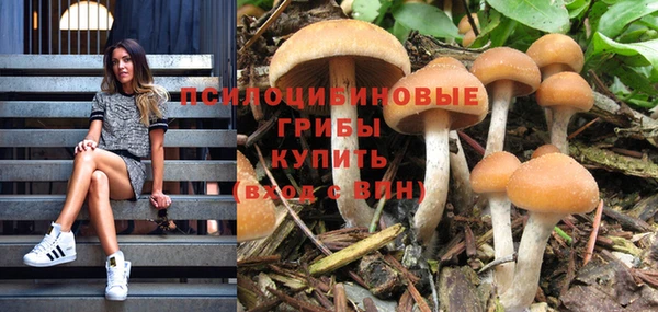 трава Бородино