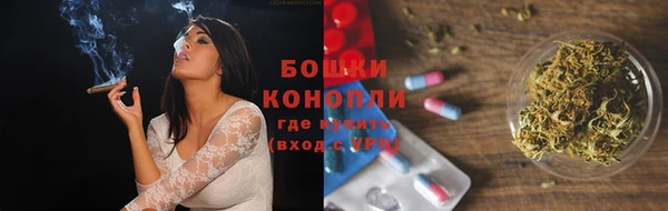 трава Бородино