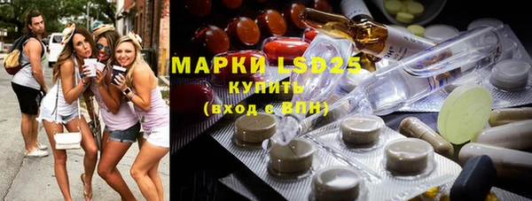 трава Бородино