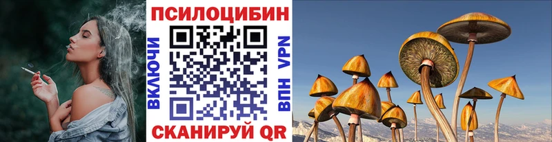 Псилоцибиновые грибы Cubensis Каргополь