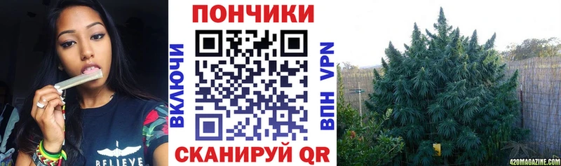 kraken сайт  Каргополь  Бошки марихуана ГИДРОПОН 